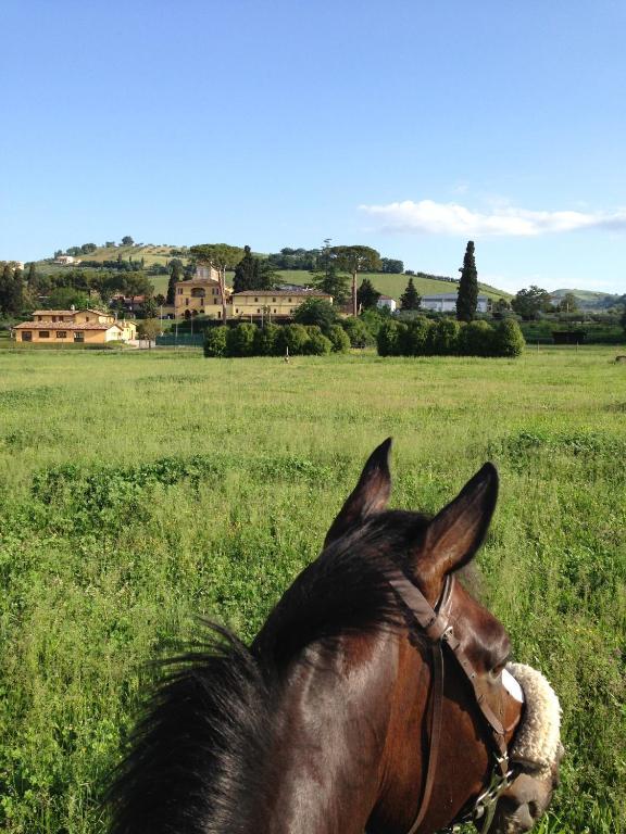 Agriturismo Villa Irelli Castellalto Buitenkant foto